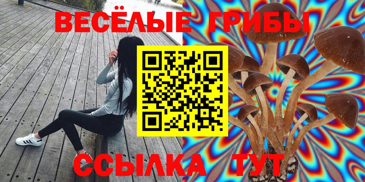 Каменск-Уральский  Галлюциногенные грибы ЛСД  Вход с VPN 