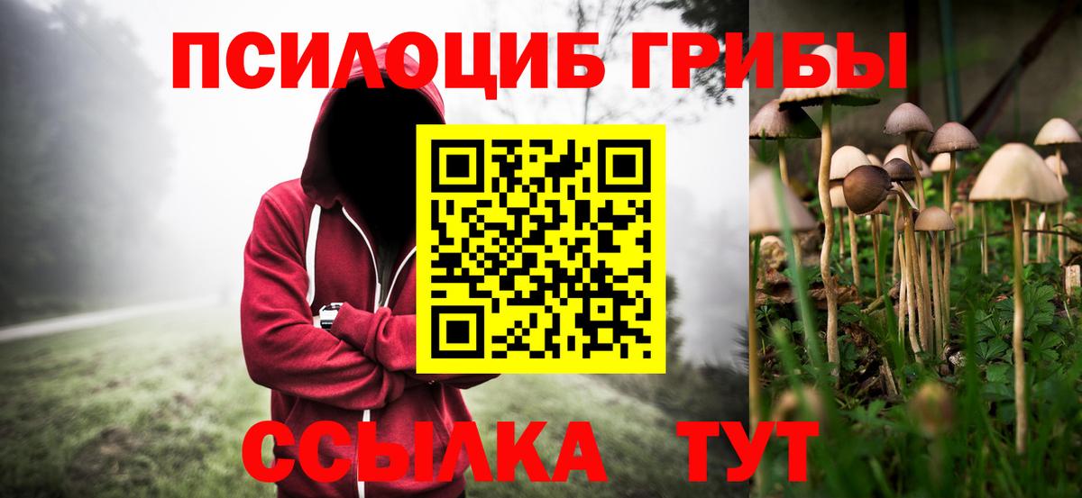 Галлюциногенные грибы GOLDEN TEACHER Каменск-Уральский
